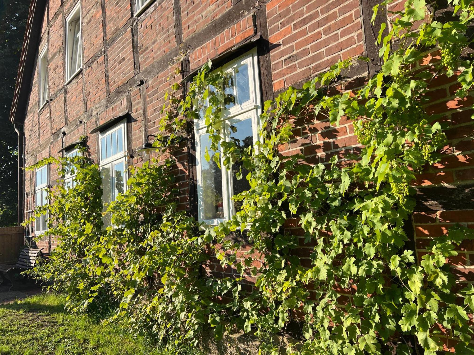 Wendlandhof Lueggau Dannenberg Exterior foto